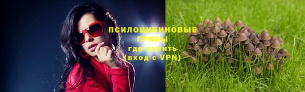 соль курить ск Богородицк