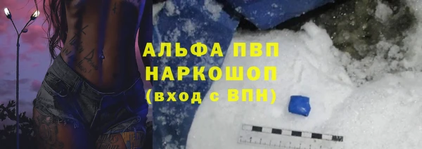 сатива Богородск